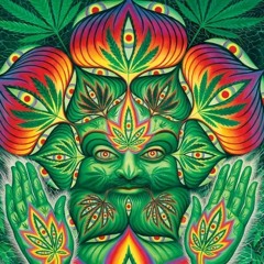 Full on 2019 constante - HANIBALL