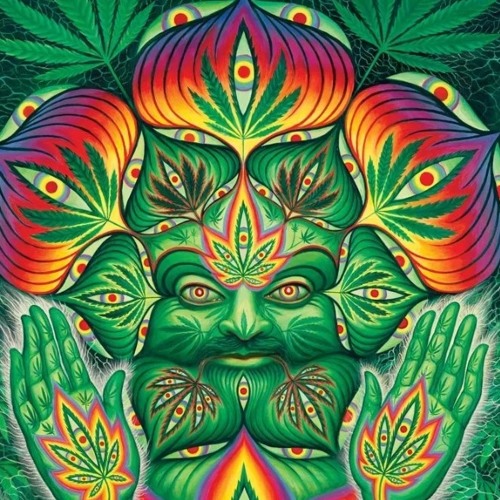 Full on 2019 constante - HANIBALL