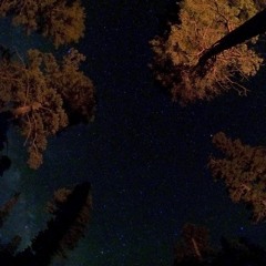 Understand Me (prod. 93FEETOFSMOKE)