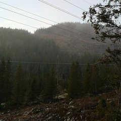 Med Glede