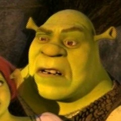 Shrek 2 the Movie