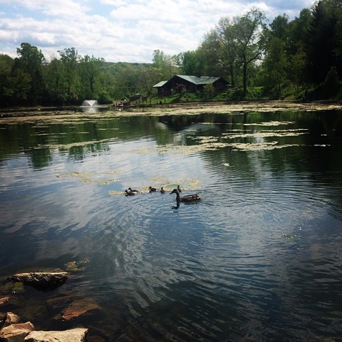 Secret Garden(Original Mix)