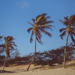 beach day