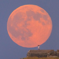 Harvest Moon (Neil Young)