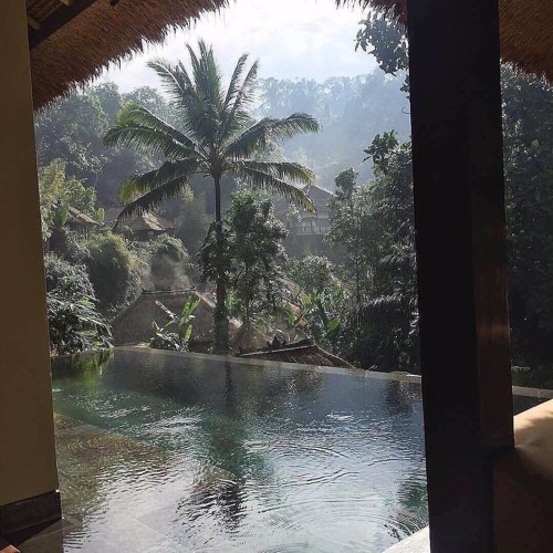 Tyjuanumb x Armani - Shootas  (Prod. Lordjon) [DREAMTHUGEXCLUSIVE]