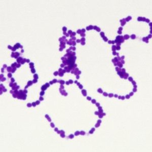 Stream Cold War Dj Papi Barney (original Mix) by Papi Barney Listen