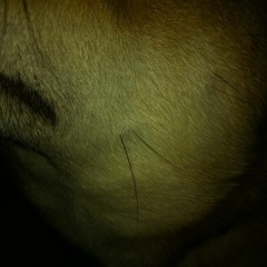 Lament Configuration