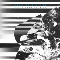 Gaudium & Ritmo - Don't Lose Ur Mind (Originl mix)- Out 18th Feb!