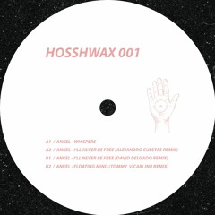 HSHWAX001 Ankel - I'll Never Be Free (Alejandro Cuestas Remix)