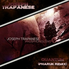 Joseph Trapanese - Quantum (Pharuk Remix)