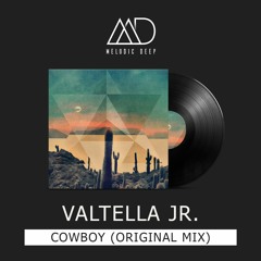 Valtella Jr. - Cowboy (Original Mix) [Free Download]
