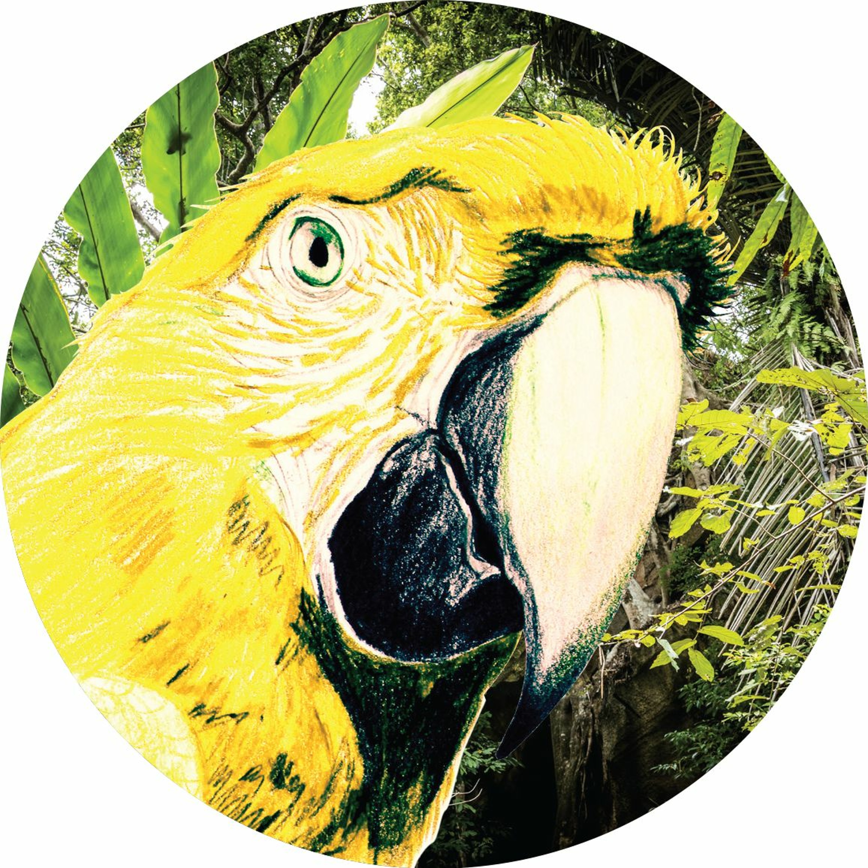 DDR003 - VARIOUS EP -  Preview