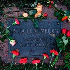 Rosa Luxemburg Lizardiren baratzan, EUSKADI IRRATIAn