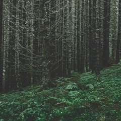 Mikael Lind - Simple Interactions