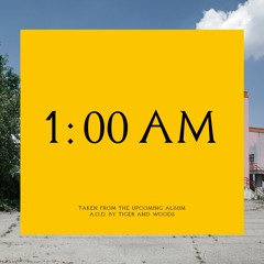 Tiger & Woods - 1.00AM (RBLP13)