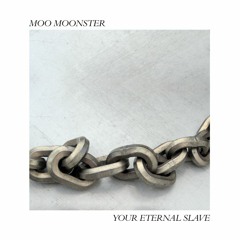 PREMIERE - Moo Moonster - This Is The Time (Rigopolar Remix) (Nein Records)