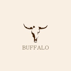 Buffalo (feat. nocup, Waymez & kit)