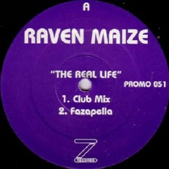 Raven Maize - The Real Life (Rojan Rework) [Free Dowload]