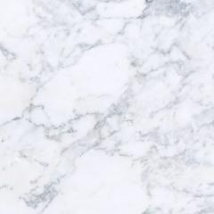 Sangreenlasvenas- Revolver