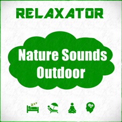 Beach sounds / Nature sounds / Relaxing sounds