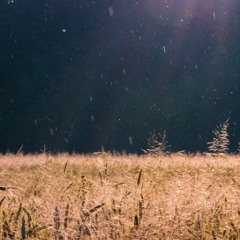 In the sun and in the rain (Collaboration avec SkyDs)