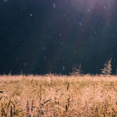 In the sun and in the rain (Collaboration avec SkyDs)