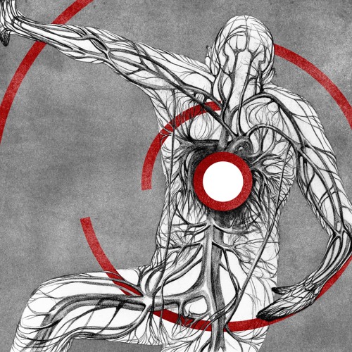 ᴅᴇʀ sᴘʀɪɴɢᴇɴᴅᴇ ᴘᴜɴᴋᴛ