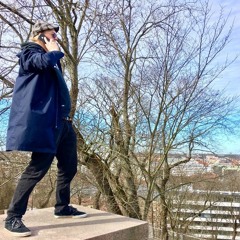 Hobbes: Seuraava lammas-sessari, tammi-19