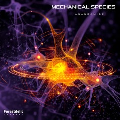 Mechanical Samples - Anandamide EP