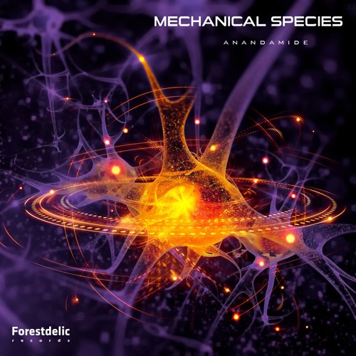 Mechanical Samples - Anandamide EP