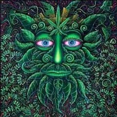 Zis0ky - Flying Psychedelic Circus *Free Download
