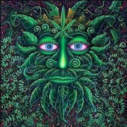 Zis0ky - Flying Psychedelic Circus *Free Download