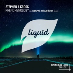 Stephen J. Kroos - Phenomenology
