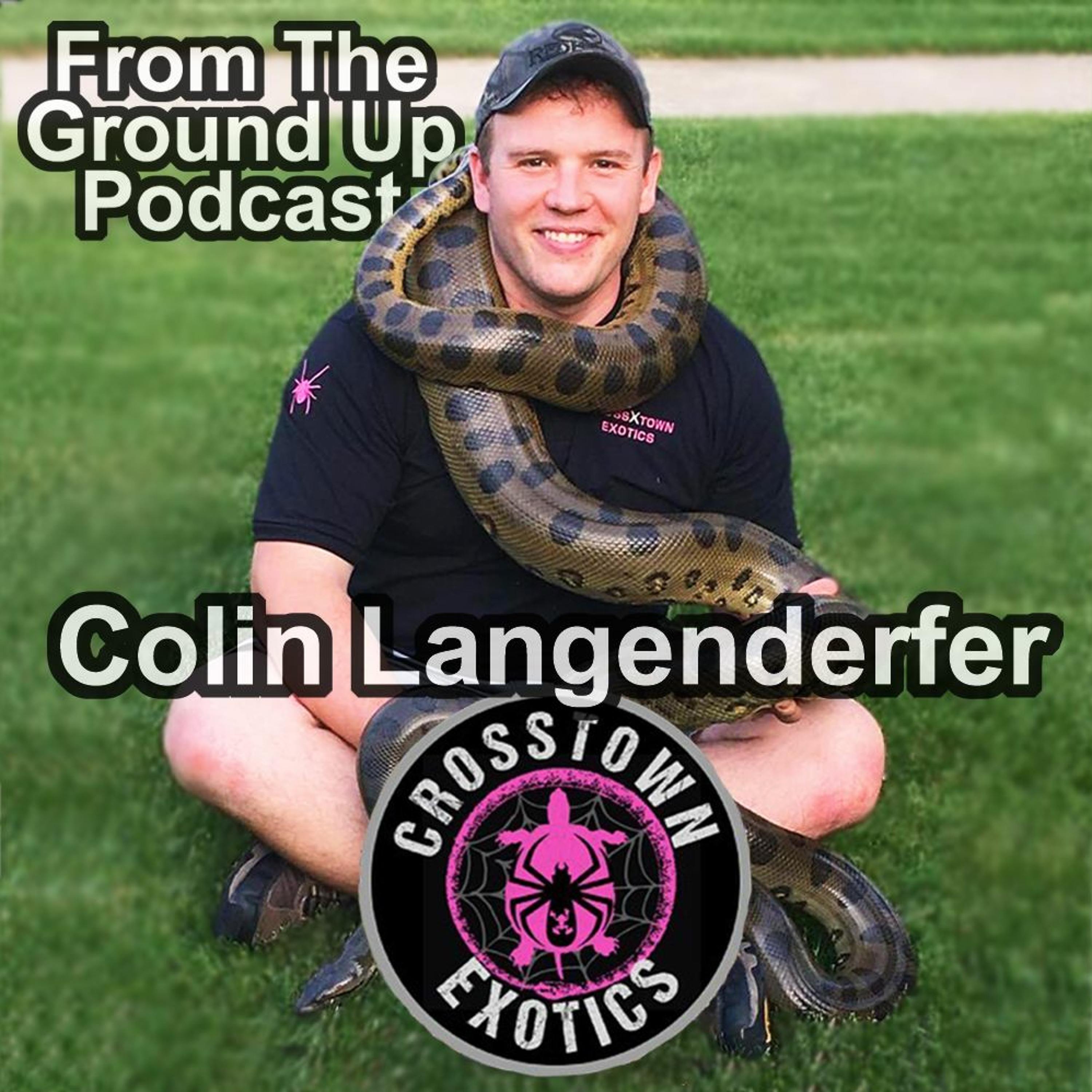 Modern Medusa Reptile Podcast - Where we talk everything cold-blooded (Snake Podcast)