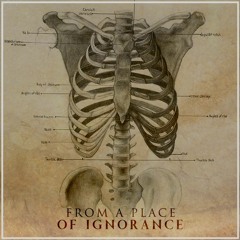 From A Place Of Ignorance - NineByNine
