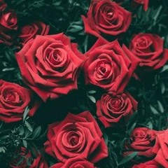 Find A Way - Amelia (mix 2)