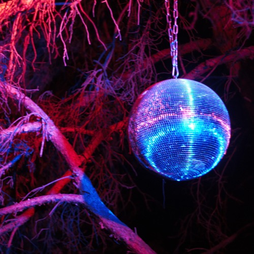 moonshine café - (every sunday noon) -twitch stream 1/2019