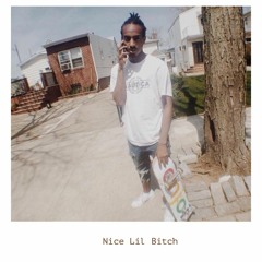 Nice Lil Bitch X BRICK$$ X YuNATE