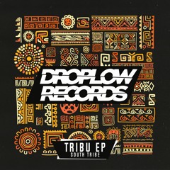 South Tribe - Tribu (Original Mix)