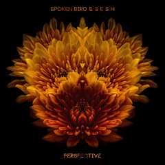 Spoken Bird & s e s h - Perspective [PREMIERE]