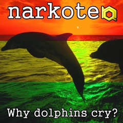 Why dolphins cry?