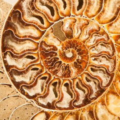 Meditation Theta Magic