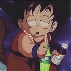 ignorant (prod. papi)