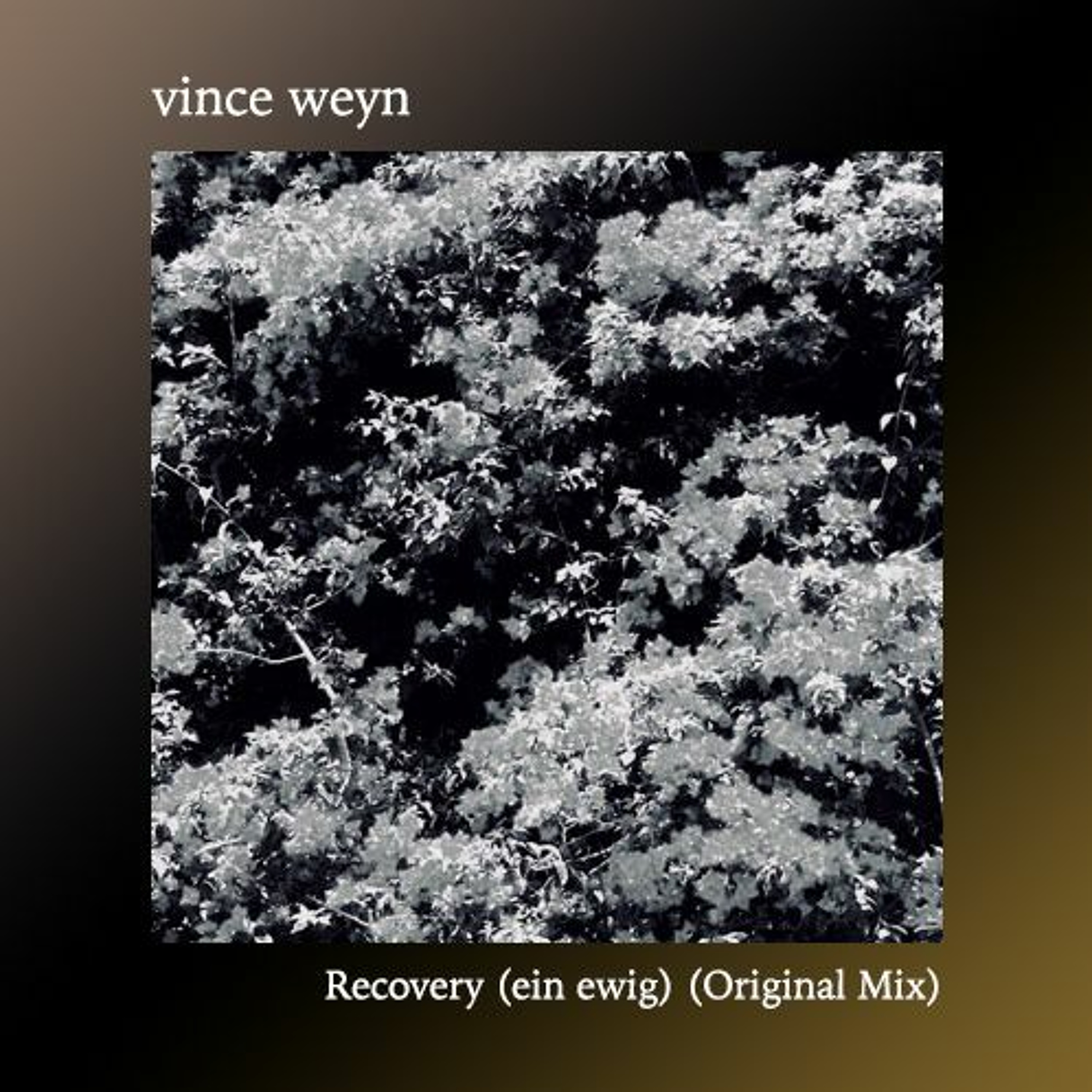 vince weyn Podcast