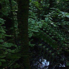 Weezyjg - Frost [prod. ICYTWAT]