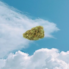 Lemon Chicken-Strips