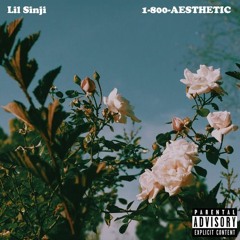 1-800-AESTHETIC (prod. @okthxbb) *OUT ON ALL PLATFORMS*