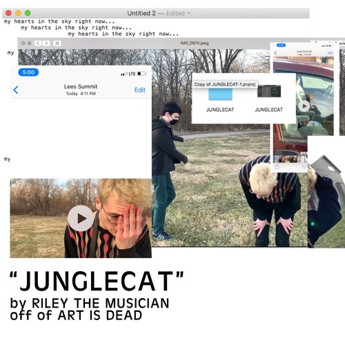 JUNGLECAT