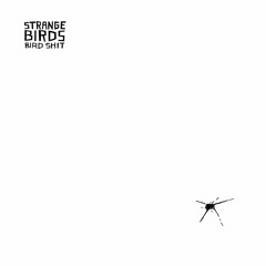 PREVIEW CLIP STRANGE BIRDS B2 Birdshit 5