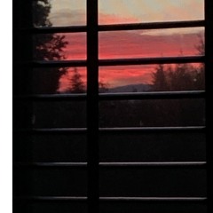 Where The Flowers Bloom